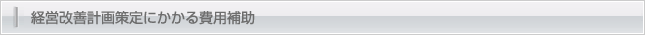 経営改善計画策定にかかる費用補助