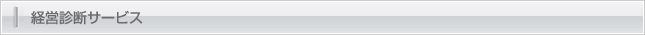 経営診断サービス