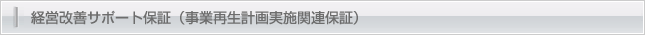 経営改善サポート保証（事業再生計画実施関連保証）